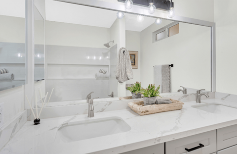 a bathroom with a sink and a mirror and a shower
